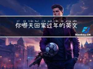 你哪天回家过年的英文