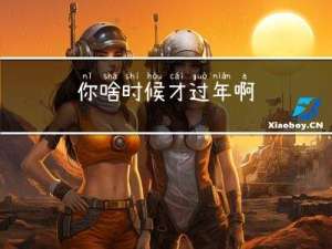 你啥时候才过年啊