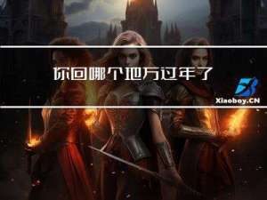 你回哪个地方过年了