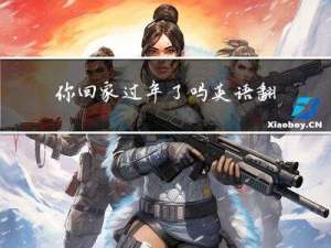 你回家过年了吗英语翻译
