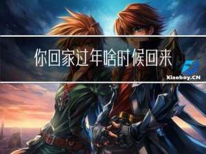 你回家过年啥时候回来英文