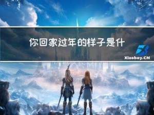 你回家过年的样子是什么