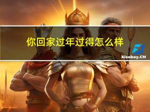 你回家过年过得怎么样