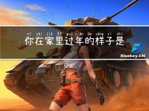 你在家里过年的样子是什么