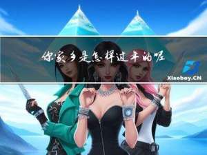 你家乡是怎样过年的呢作文