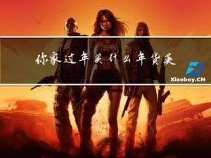 你家过年买什么年货英文