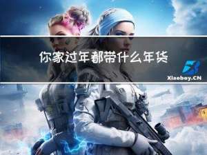 你家过年都带什么年货
