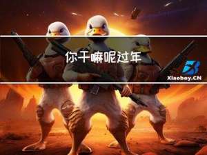 你干嘛呢过年