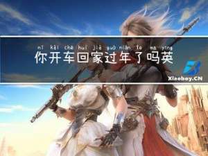 你开车回家过年了吗英文