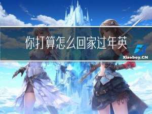 你打算怎么回家过年英文