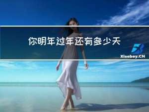 你明年过年还有多少天英语