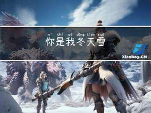 你是我冬天雪