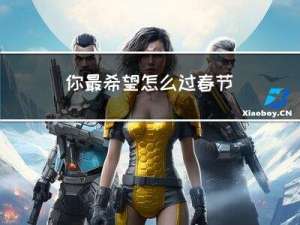 你最希望怎么过春节