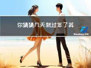 你猜猜几天就过年了英文