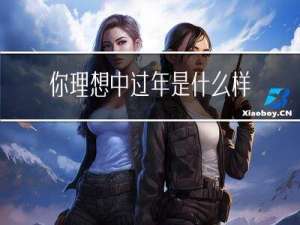 你理想中过年是什么样子