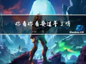 你看你看要过年了吗