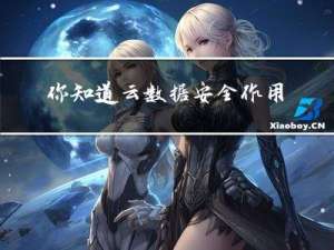 你知道云数据安全作用是什么吗？