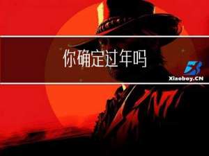 你确定过年吗