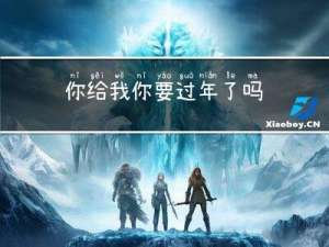 你给我你要过年了吗