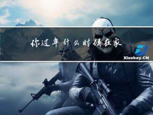 你过年什么时候在家