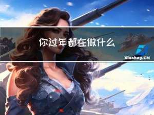 你过年都在做什么