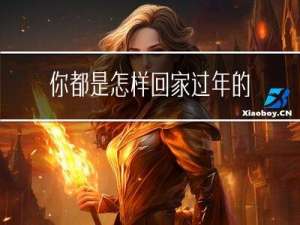 你都是怎样回家过年的作文