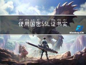 使用国密SSL证书，实现SSL/TLS传输层国密改造