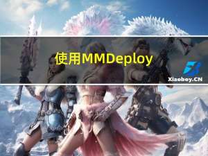 使用MMDeploy（预编译包）转换MMxx(MMDeploy支持库均可)pth权重到onnx，并使用python SDK进行部署验证