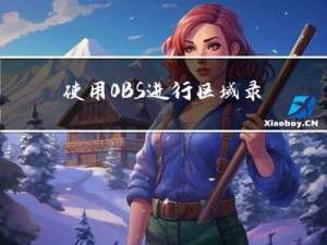 使用 OBS 进行区域录制