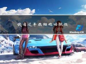 俄国过年放鞭炮吗视频