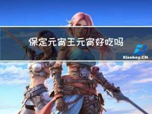 保定元宵王元宵好吃吗