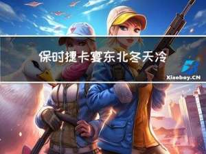 保时捷卡宴东北冬天冷吗