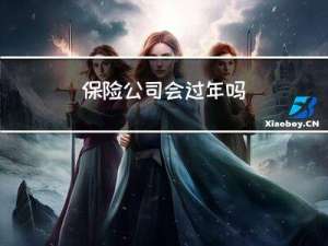 保险公司会过年吗
