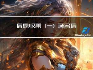 信息收集（一）域名信息收集