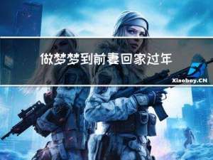 做梦梦到前妻回家过年好吗