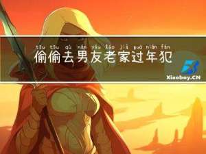 偷偷去男友老家过年犯法吗