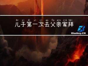 儿子第一次去父亲家拜年