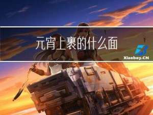 元宵上裹的什么面