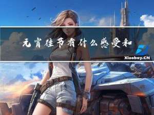 元宵佳节有什么感受和收获