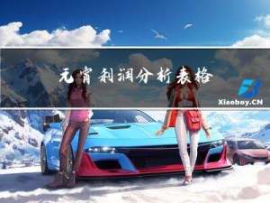 元宵利润分析表格