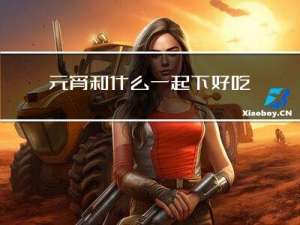 元宵和什么一起下好吃