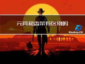 元宵和香菜有区别吗