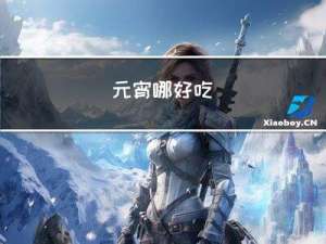 元宵哪好吃