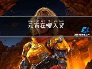 元宵在哪入货