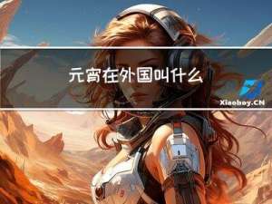 元宵在外国叫什么