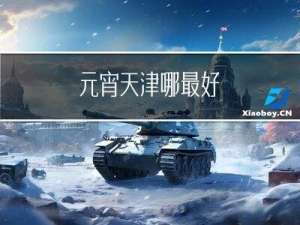 元宵天津哪最好