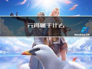 元宵属于什么