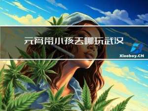 元宵带小孩去哪玩武汉
