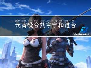 元宵晚会刘宇宁和谁合唱的