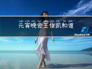 元宵晚会王俊凯和谁
